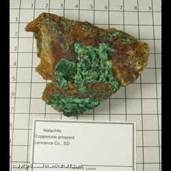Mineral Specimen: Malachite from Coppertone prospect, Lawrence Co, South Dakota Mineral Specimen: Malachite from Coppertone prospect, Lawrence Co, South Dakota