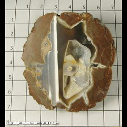 Mineral Specimen: Thunder Egg, Polished from Oregon Mineral Specimen: Thunder Egg, Polished from Oregon
