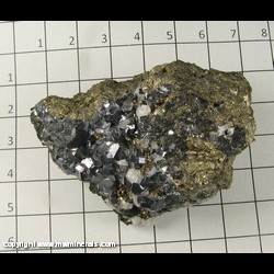 Minerals Specimen: Galena, Pyrite from Chihuahua, Mexico Minerals Specimen: Galena, Pyrite from Chihuahua, Mexico