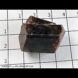 Mineral Specimen: Dravite Tourmaline from Pajaru, Jajarkot District, Bheri Zone, Nepal