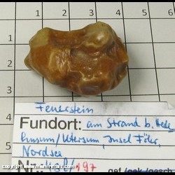 Minerals Specimen: Flint variety Feuerstein (Fire Stone), water polished from beach of North Sea, Bermany Minerals Specimen: Flint variety Feuerstein (Fire Stone), water polished from beach of North Sea, Bermany