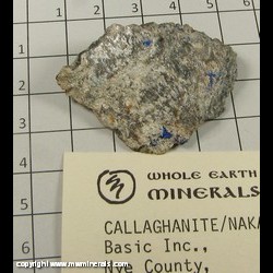 Mineral Specimen: Callaghanite, Nakauriite from Premier Chemicals Mine, Gabbs, Nye Co, Nevada Mineral Specimen: Callaghanite, Nakauriite from Premier Chemicals Mine, Gabbs, Nye Co, Nevada