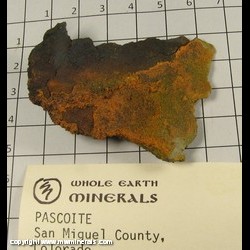 Minerals Specimen: Pascoite from San Miguel Co, Colorado Minerals Specimen: Pascoite from San Miguel Co, Colorado