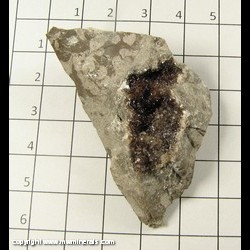 Mineral Specimen: Calcite, Iridescent from Wallace Stone Quarry, Baypory, Huron Co, Michigan Mineral Specimen: Calcite, Iridescent from Wallace Stone Quarry, Baypory, Huron Co, Michigan