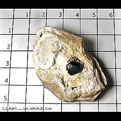Mineral Specimen: Almandine Garnet, Quartz on Rhyolite from Garnet Hill, Ely, Robinson District, White Pine Co,  Nevada