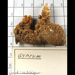 Mineral Specimen: Gypsum from Location Unknown Mineral Specimen: Gypsum from Location Unknown