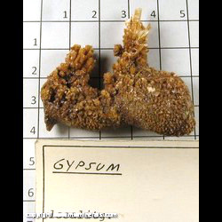 Mineral Specimen: Gypsum from Location Unknown