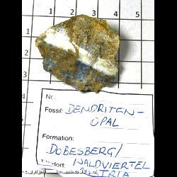 Mineral Specimen: Opal from Dobersberg, Waldviertel, Lower Austria, Austria