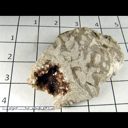 Mineral Specimen: Calcite Coated with Unidentified Iridescent Sulfide in Limestone with Marine Burrows (aka Chinese Writing Rock) from Wallace Stone Quarry, Baypory, Huron Co, Michigan Mineral Specimen: Calcite Coated with Unidentified Iridescent Sulfide in Limestone with Marine Burrows (aka Chinese Writing Rock) from Wallace Stone Quarry, Baypory, Huron Co, Michigan