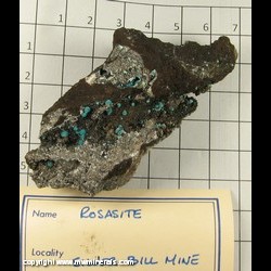 Mineral Specimen: Rosasite from Silver Bill Mine, Gleeson, Turquoise District, Dragoon Mts, Cochise Co,  Arizona