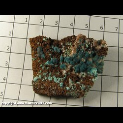 Minerals Specimen: Rosasite from Durango, Mexico Minerals Specimen: Rosasite from Durango, Mexico