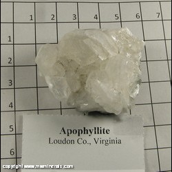 Mineral Specimen: Apophyllite from Loudon Co, Virginia Mineral Specimen: Apophyllite from Loudon Co, Virginia