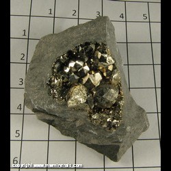 Minerals Specimen: Pyrite, Diploid Crystals (one broken crystal) from Duff Quarry, Huntsville, Logan Co, Ohio Minerals Specimen: Pyrite, Diploid Crystals (one broken crystal) from Duff Quarry, Huntsville, Logan Co, Ohio