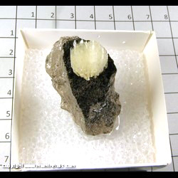 Mineral Specimen: Barite from Pugh Quarry, Custar, Wood Co,  Ohio