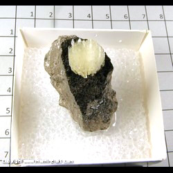 Mineral Specimen: Barite from Pugh Quarry, Custar, Wood Co, Ohio Mineral Specimen: Barite from Pugh Quarry, Custar, Wood Co, Ohio