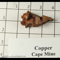 Minerals Specimen: Copper Crystals from Cape Mine, near Copper Harbor, Keweenaw Co, Michigan Minerals Specimen: Copper Crystals from Cape Mine, near Copper Harbor, Keweenaw Co, Michigan