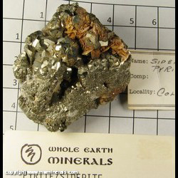 Mineral Specimen: Pyrite, Siderite from Gilman Dist,  Eagle Co,  Colorado