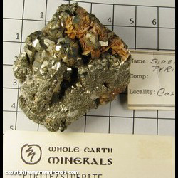 Mineral Specimen: Pyrite, Siderite from Gilman Dist, Eagle Co, Colorado Mineral Specimen: Pyrite, Siderite from Gilman Dist, Eagle Co, Colorado