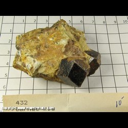 Mineral Specimen: Almandine Garnet in Schist from Green's Farm, Roxbury, Lithfield Co, Connecticut Mineral Specimen: Almandine Garnet in Schist from Green's Farm, Roxbury, Lithfield Co, Connecticut