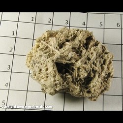 Mineral Specimen: Stibconite Pseudomorph After Stibinte from El Potosi, Mexico Mineral Specimen: Stibconite Pseudomorph After Stibinte from El Potosi, Mexico