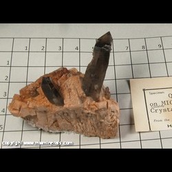 Mineral Specimen: Smoky Quartz on Microcline from Crystal Peak area, Park and Teller Cos, Colorado Mineral Specimen: Smoky Quartz on Microcline from Crystal Peak area, Park and Teller Cos, Colorado