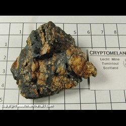 Minerals Specimen: Cryptomelane from Lecht Mines, Buchan Grampian, Scotland Minerals Specimen: Cryptomelane from Lecht Mines, Buchan Grampian, Scotland