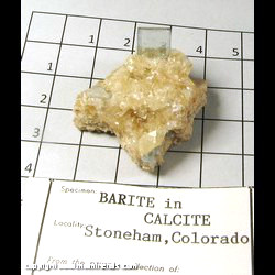 Mineral Specimen: Barite in Calcite from Stoneham, Weld Co, Colorado Mineral Specimen: Barite in Calcite from Stoneham, Weld Co, Colorado