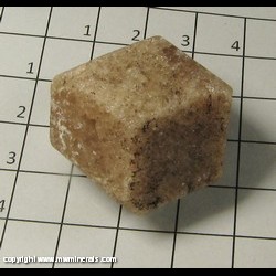 Minerals Specimen: Grossular Garnet from Lack Jaco, Coahuila, Mexicon Minerals Specimen: Grossular Garnet from Lack Jaco, Coahuila, Mexicon