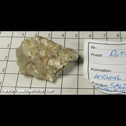 Mineral Specimen: Rutilated Quarrtz from Kruml glacier, Krumlbach valley, Hohe Tauern, Salzburg, Austria Mineral Specimen: Rutilated Quarrtz from Kruml glacier, Krumlbach valley, Hohe Tauern, Salzburg, Austria