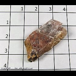 Mineral Specimen: Copper Included in Selenite from Old Mission Mine, Pima Co,  Arizona