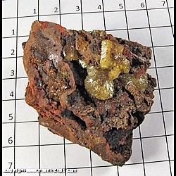 Mineral Specimen: Adamite from Mina Ojuela, Mapimi, Durango, Mexico