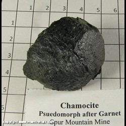 Minerals Specimen: Chamosite Pseudomorph after Garnet from Spurr Mountain Mine, Baraga Co, Michigan Minerals Specimen: Chamosite Pseudomorph after Garnet from Spurr Mountain Mine, Baraga Co, Michigan