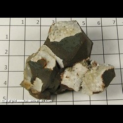 Mineral Specimen: Pyrite on Druze Quartz on Iron Oxides on Quartz from Burgess Mine, New York Butte, Inyo Mts, Inyo Co, California Mineral Specimen: Pyrite on Druze Quartz on Iron Oxides on Quartz from Burgess Mine, New York Butte, Inyo Mts, Inyo Co, California
