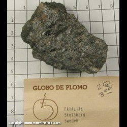 Mineral Specimen: Fayalite-Tephorite series variety: Knebleite from Stollberg orefield, Vaster Silvberg, Smedjebacken, Dalarna, Sweden Mineral Specimen: Fayalite-Tephorite series variety: Knebleite from Stollberg orefield, Vaster Silvberg, Smedjebacken, Dalarna, Sweden