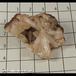 Minerals Specimen: Hemimorphite from Chihuahua, Mexico Minerals Specimen: Hemimorphite from Chihuahua, Mexico