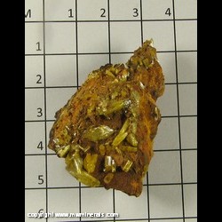 Mineral Specimen: Mimetite from Pingtouling Mine, Liannan Co, Qingyuan Prefecture, Guangdong Province, China Mineral Specimen: Mimetite from Pingtouling Mine, Liannan Co, Qingyuan Prefecture, Guangdong Province, China