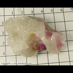 Mineral Specimen: Tourmaline, Quartz from Coronel Murta, Minas Gerais, Brazil