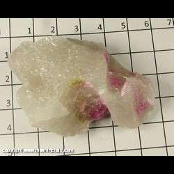 Mineral Specimen: Tourmaline, Quartz from Coronel Murta, Minas Gerais, Brazil Mineral Specimen: Tourmaline, Quartz from Coronel Murta, Minas Gerais, Brazil
