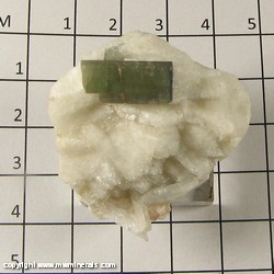 Mineral Specimen: Tourmaline (terminated on right side) on Albite from Pakistan