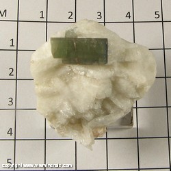Mineral Specimen: Tourmaline (terminated on right side) on Albite from Pakistan Mineral Specimen: Tourmaline (terminated on right side) on Albite from Pakistan