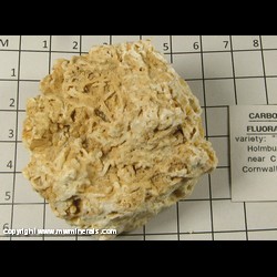 Minerals Specimen: Carbonate - Fluorapaite variety: Francolite from Kirov Mine, Chibiny, Russia Minerals Specimen: Carbonate - Fluorapaite variety: Francolite from Kirov Mine, Chibiny, Russia