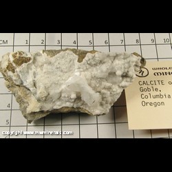 Minerals Specimen: Calcite on Thomsonite from Goble, Columbia Co, Oregon Minerals Specimen: Calcite on Thomsonite from Goble, Columbia Co, Oregon