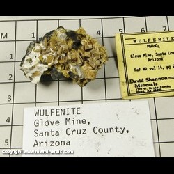 Mineral Specimen: Wulfenite from Glove Mine, Devil's Cash Box ridge, Amado, Cottonwood Canyon, Santa Cruz Co, Arizona Mineral Specimen: Wulfenite from Glove Mine, Devil's Cash Box ridge, Amado, Cottonwood Canyon, Santa Cruz Co, Arizona