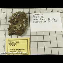 Minerals Specimen: Shortite from FMC Mine, Westvaco, near Green River, Sweetwater Co, Wyoming Minerals Specimen: Shortite from FMC Mine, Westvaco, near Green River, Sweetwater Co, Wyoming
