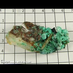 Mineral Specimen: Malachite on Quartz from Chihuahua, Mexico Mineral Specimen: Malachite on Quartz from Chihuahua, Mexico