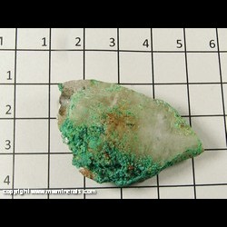 Mineral Specimen: Malachite on Quartz from Chihuahua, Mexico Mineral Specimen: Malachite on Quartz from Chihuahua, Mexico