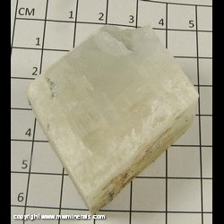Mineral Specimen: Barite from Boulder Hill Mine, Silver Glance District, Wellington Hills, Douglas Co, Nevada Mineral Specimen: Barite from Boulder Hill Mine, Silver Glance District, Wellington Hills, Douglas Co, Nevada