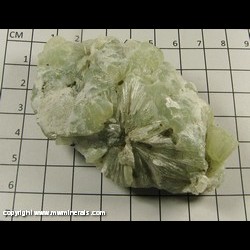 Minerals Specimen: Prehnite with Casts (likely after Laumontite) from New Jersey Minerals Specimen: Prehnite with Casts (likely after Laumontite) from New Jersey
