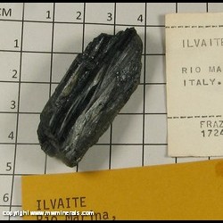 Minerals Specimen: Ilvaite from Rio Marina, Isle of Elba, Livorno Prov, Tuscany, Itlay Minerals Specimen: Ilvaite from Rio Marina, Isle of Elba, Livorno Prov, Tuscany, Itlay