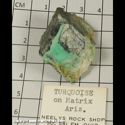 Mineral Specimen: Turquoise from Arizona Mineral Specimen: Turquoise from Arizona